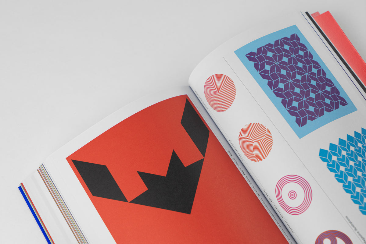 Félix Beltrán: Visual Intelligence