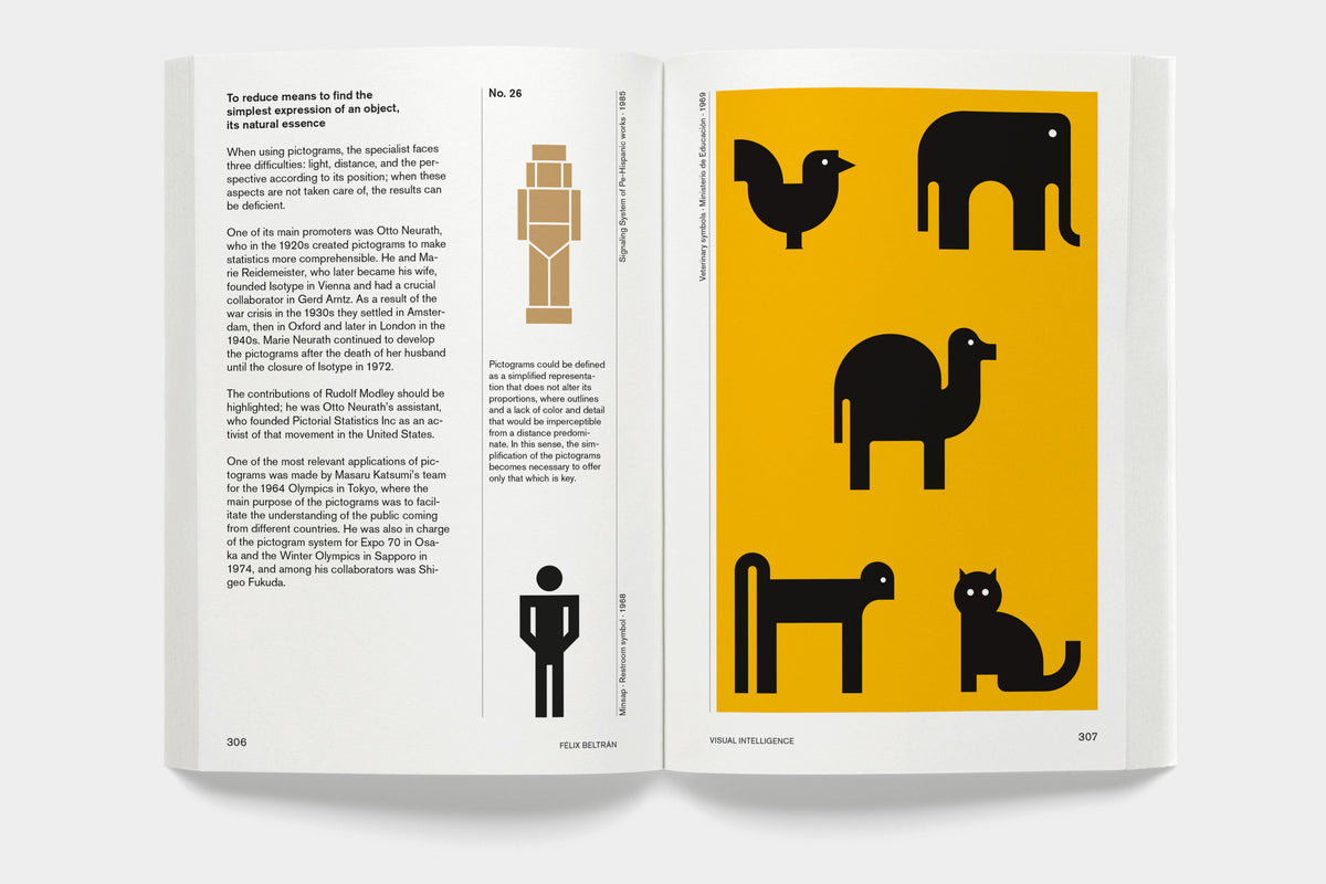 Félix Beltrán: Visual Intelligence